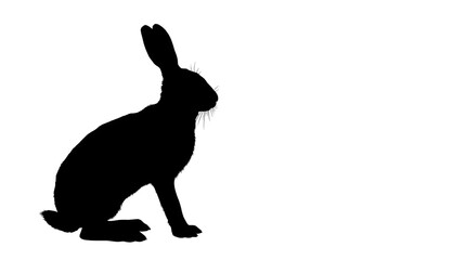 Obraz premium Silhouette of a sitting rabbit on a white background