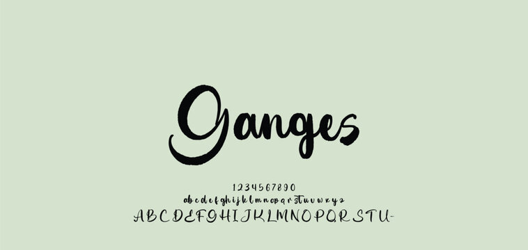 Beauty Luxury font alphabet logo. Typography beautiful fashion elegant classic letters serif italic fonts decorative wedding vintage blossom logos. vector illustration
