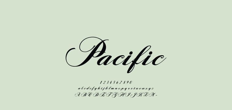 Beauty Luxury font alphabet logo. Typography beautiful fashion elegant classic letters serif italic fonts decorative wedding vintage blossom logos. vector illustration