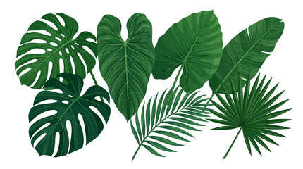 Tropical Jungle Leaves Collection Hand Drawn Botanical Elements © Stevi