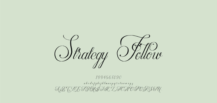 Beauty Luxury font alphabet logo. Typography beautiful fashion elegant classic letters serif italic fonts decorative wedding vintage blossom logos. vector illustration