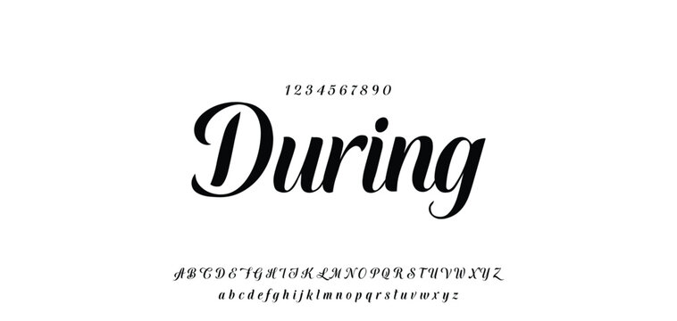 Hand drawn vector alphabet. Modern monoline signature script font. Elegant Signature Font. Best Alphabet Beautiful Calligraphy Signature Font