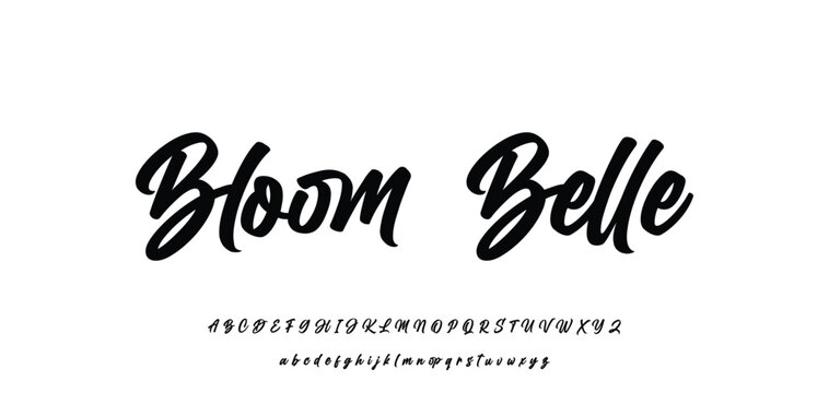 Hand drawn vector alphabet. Modern monoline signature script font. Elegant Signature Font. Best Alphabet Beautiful Calligraphy Signature Font