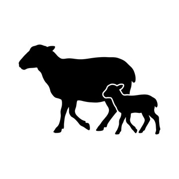 Eid al-Adha sheep and lamb silhouette isolated on white background