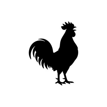 Black silhouette of a crowing rooster isolated on a white background