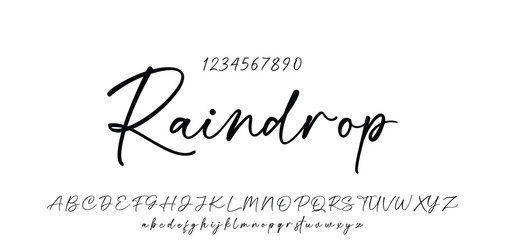 Hand drawn vector alphabet. Modern monoline signature script font. Elegant Signature Font. Best Alphabet Beautiful Calligraphy Signature Font © Hashir