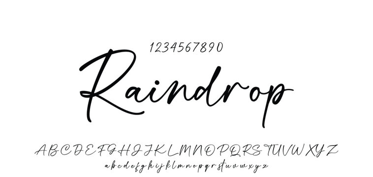 Hand drawn vector alphabet. Modern monoline signature script font. Elegant Signature Font. Best Alphabet Beautiful Calligraphy Signature Font