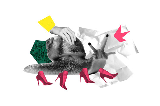 Creative artwork template sketch image 3D collage of abstract surreal picture snail shell animal nature wildlife fragment shoes foot walk