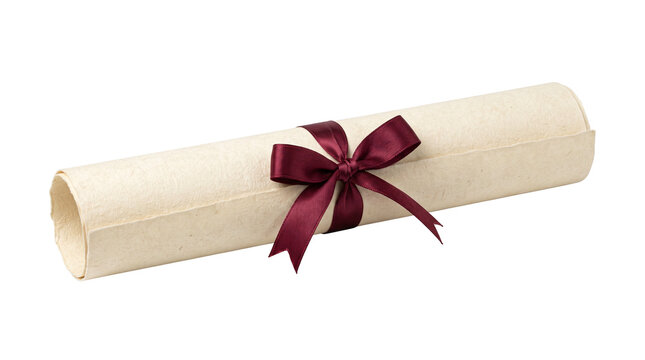 Graduation diploma scroll tied with a ribbon, realistic paper texture isolated for education design, achievement concept, and academic compositing background