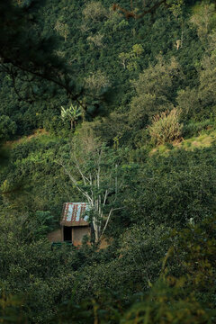 Small house in the middle of an agricultural farm field in Cau Dat, Da Lat, Vietnam