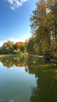 The calm surface of the pond mirrors the golden‑orange foliage of the tall trees that line the shore under the clear blue sky of early autumn.