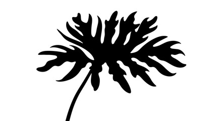 Philodendron leaf silhouette for nature logos and prints © Sohel