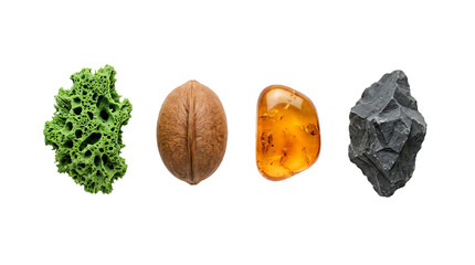 Various natural stones, organic fossils, and minerals arranged neatly on transparent background © we.bond.png