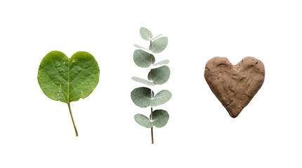 Natural heart shaped green leaf, eucalyptus branch, and brown clay heart on transparent background © we.bond.png