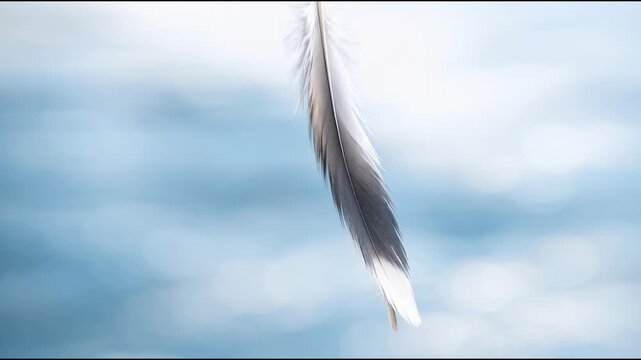 A single white feather floating in the air, possibly from a bird's nest or blown away by wind