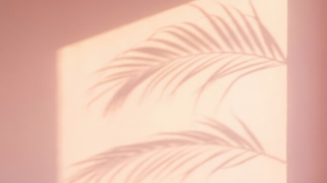 Palm tree leaf shadow cast neatly on a soft pink minimalist wall with warm natural sunlight illuminating architectural indoor space