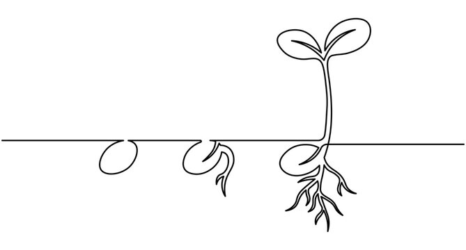 Growth plant continuous one line art seed germination process minimalist concept editable stroke vector illustration