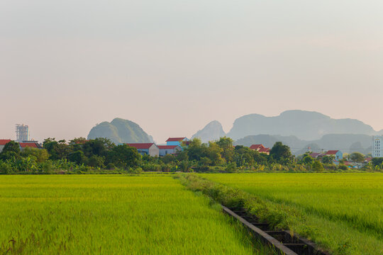 Rice fields at sunset. Picturesque karst landscape. Ninh Binh Province, Vietnam.