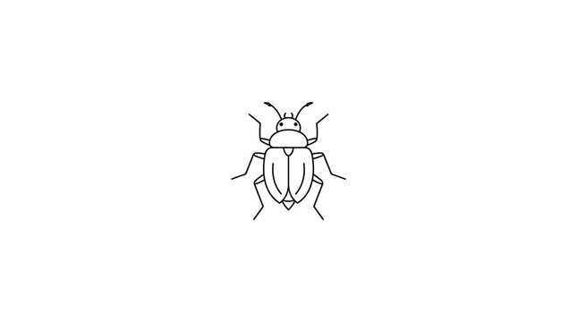 Top view of a small beetle insect illustration with entomology wildlife creature arthropod coleoptera scientific