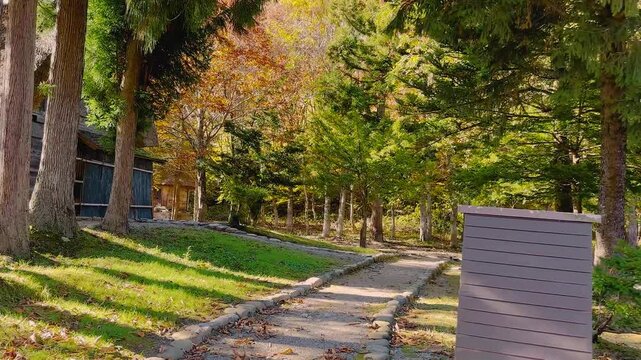 Walking Through an Autumn Traditional Village in Shirakawa-go Japan