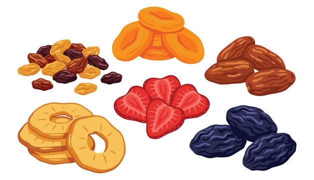 Dried fruits and sweet organic snacks vector set. Raisins, apricots, dates, pineapple rings, strawberry slices, prunes and healthy snack elements.