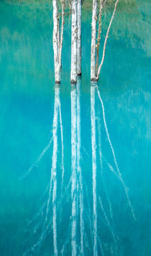 Brasov, Romania - 21 September 2026: Aerial view of dead trees standing in the turquoise water of a flooded area with clear reflections on the surface.