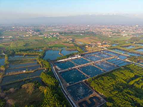Aerial view of aquaculture ponds and shrimp farms surrounded by lush vegetation and rural landscape with the city of Probolinggo in the background, Probolinggo, East Java, Indonesia.