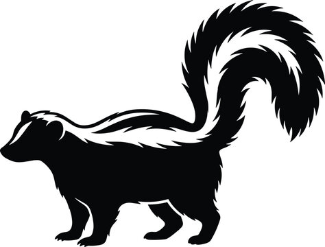 Striped Skunk Silhouette with Raised Bushy Tail Isolated on White Background for Wildlife Nature Forest Animal Graphic Design