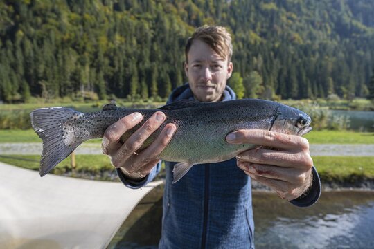 Man holding caught trout, fishing