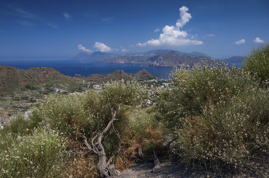 Old gnarled broom bushes, in the background Lipari and Salina, Vulcano, Aeolian or Lipari Islands, Sicily, Southern Italy, Italy