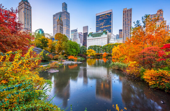 Central Park during autumn in New york City at twilight 411