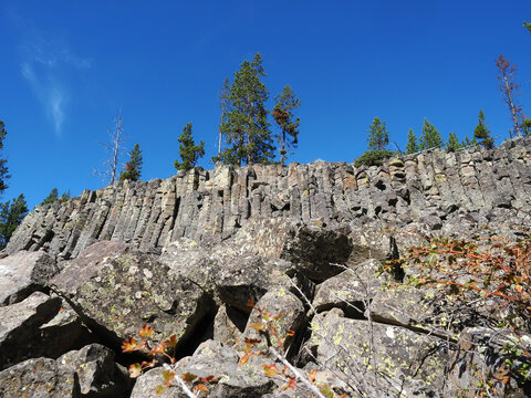 Sheepeaters Cliff, Yellowstone, rugged basalt columns rise steeply against a vivid blue sky. Pine trees cling to the rocky summit, adding green contrast. Weathered stones lie scattered in the foregrou