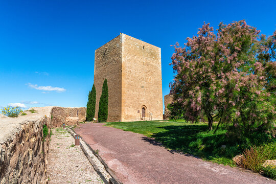Scenic sight at the Castle of Lorca (Fortaleza del Sol). Region of Murcia, Spain.