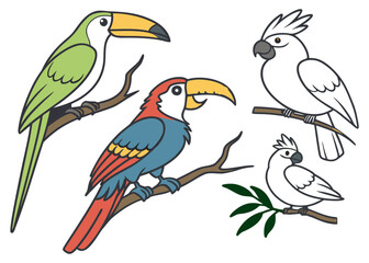 Fototapeta premium Colorful Tropical Birds Set