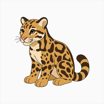 Clouded leopard wild cat elusive predator vector illustration