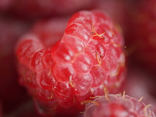 close up of raspberry © Анастасия Богза