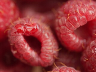 close up of raspberry © Анастасия Богза