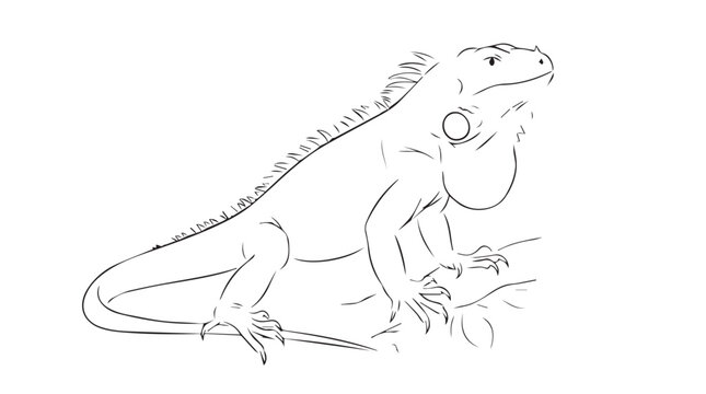 Minimalist outline illustration of an iguana perched on a branch against a textured vintage background