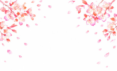 Naklejka premium 桜の花と舞う花びらの水彩フレーム｜春・和風・日本の桜を描いた背景素材
