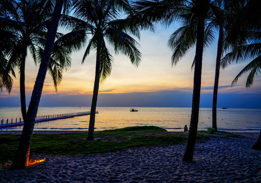 Picturesque tropical landscape at sunset, featuring palm tree silhouettes on beach and pier extending int sea. Peaceful tropical beach scene at golden hour. 