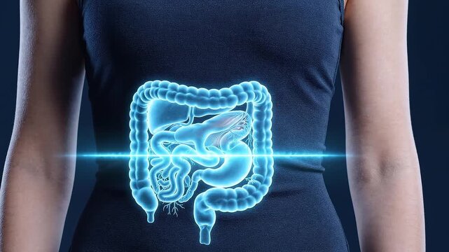 Woman with a digital scan of her digestive system. Gastrointestinal anatomy and gut health concept for medical education and healthcare.