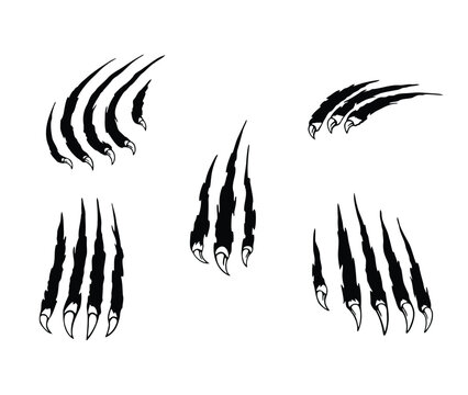 claw scratches with talons black silhouette on a white background