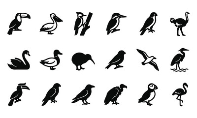 Fototapeta premium Wild Birds Vector Icons Set Avian Wildlife Fauna Ornithology Black Silhouette Symbols Collection Art & Illustration