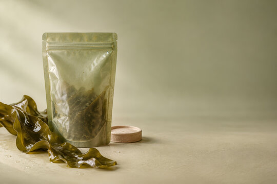 Seaweed bioplastic pouch with kelp frond and molded fiber lid on warm beige surface sustainable compostable packaging eco friendly seaweed packaging circular economy zero waste concept