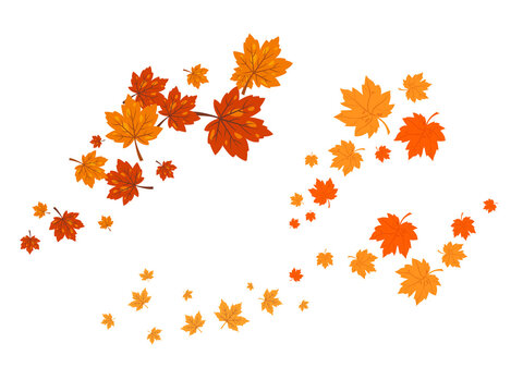 Dynamic autumn leaf sweep composition