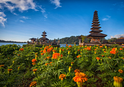 Morning view of Ulun Danu Beratan Temple in Bedugul, Bali, Indonesia, framed by vibrant orange flowers, a calm lake, and a clear blue sky.