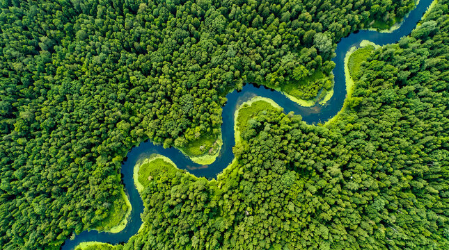 R&iacute;o serpenteante de color azul intenso corta un bosque verde vibrante visto desde arriba. Naturaleza pura y pr&iacute;stina en su m&aacute;xima expresi&oacute;n.