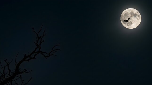Silhouette of a bat flying across a bright glowing full moon in a dark night sky next to a bare dead tree branch.