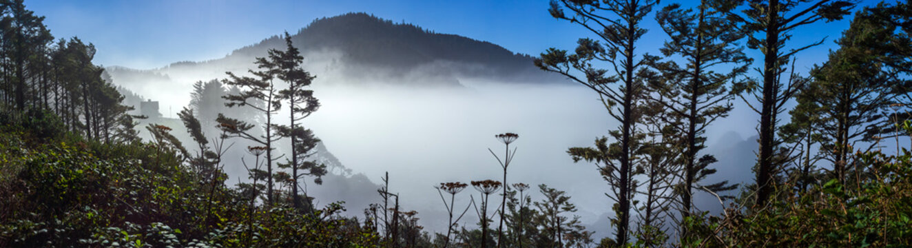 Beautiful wide panoramic view of a green forest and mountains heavily covered in dense white fog at sunrise
