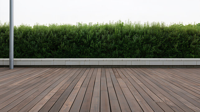 Deep brown wooden deck floor with a neat green hedge and white base wall in the background.